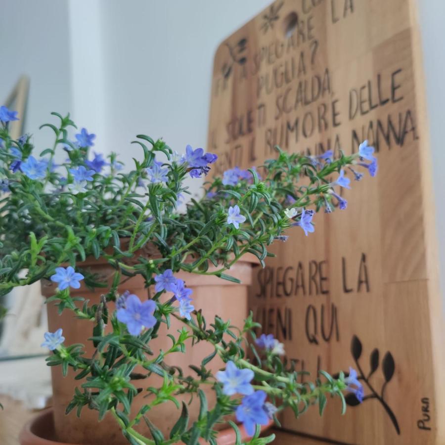 Pura B&B Noicattaro Zewnętrze zdjęcie